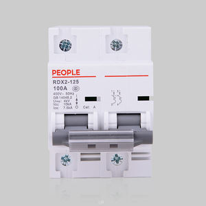 thermal-magnetic circuit breaker 1