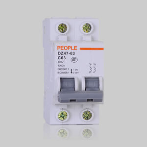 thermal-magnetic circuit breaker 1