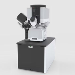 focused ion beam scanning electron microscope