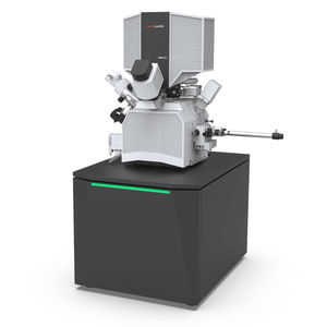 FIB/SEM microscope