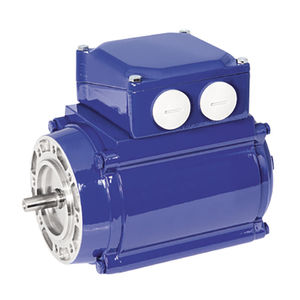 three-phase motor
