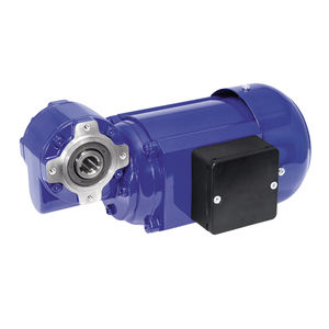 空心轴齿轮马达