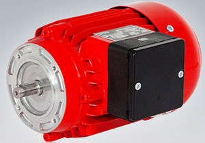AC motor / three-phase / asynchronous / 400 V