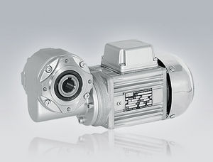 worm gear-motor