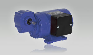 蜗杆齿轮马达