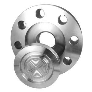 diaphragm seal with flange connection 1