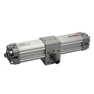 rotary actuator