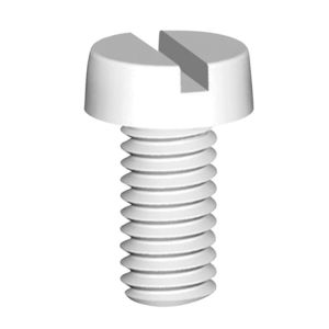 cylindrical head screw