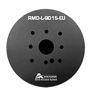 brushless motor