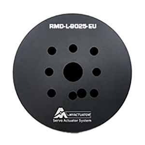 brushless motor