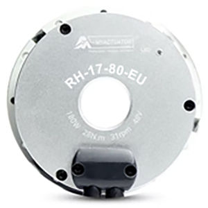 pancake type gearmotor 1