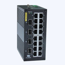 managed ethernet switch 1