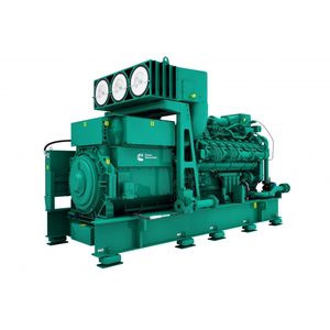 cogeneration generator set