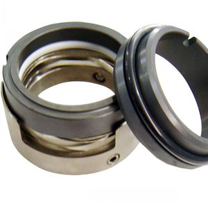 mechanical seal with protected spring