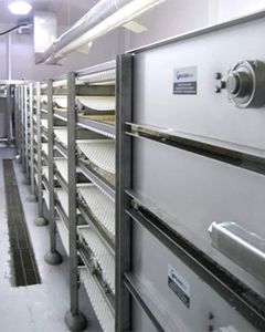 multi-level conveyor