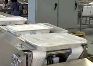 belt conveyor