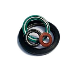 rotating shaft seal