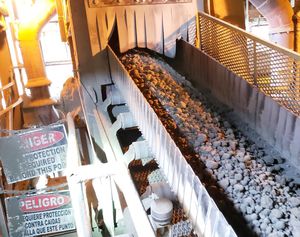 belt conveyor 1