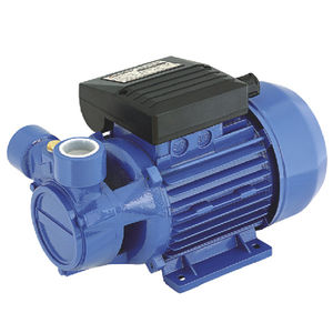peripheral pump