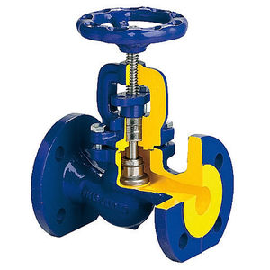 globe valve