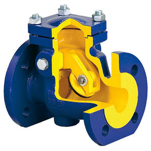 swing check valve