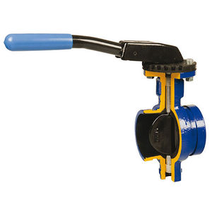 butterfly valve