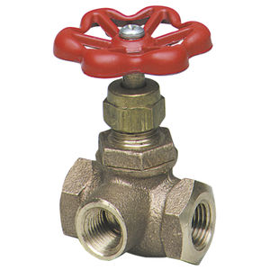 globe valve