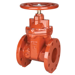 gate valve