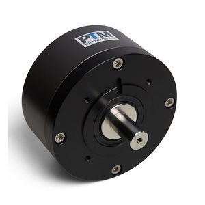 radial piston air motor