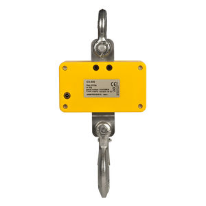 digital crane scale