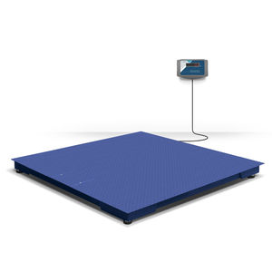 platform scale 1
