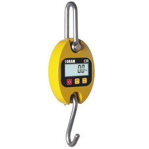 crane scale with LCD display