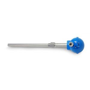 RTD temperature sensor