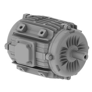 three-phase motor 1