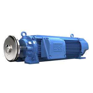 AC motor 1