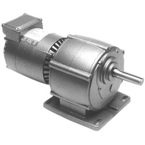 AC gearmotor 1