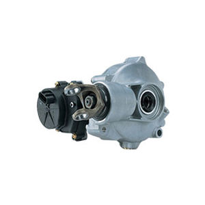differential with worm gear