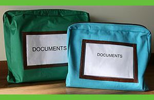 transport bag