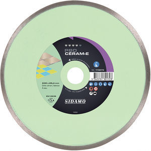 diamond abrasive disc