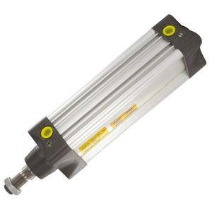 pneumatic cylinder