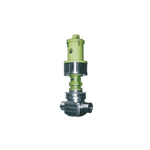 gate valve