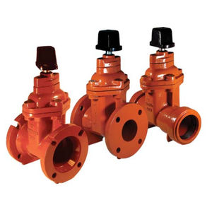 gate valve