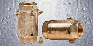 disc check valve