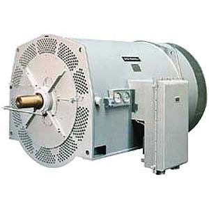 AC motor / asynchronous / high-voltage