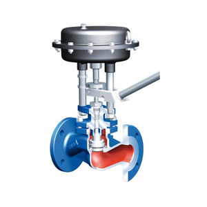 globe valve