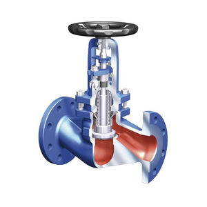 globe valve