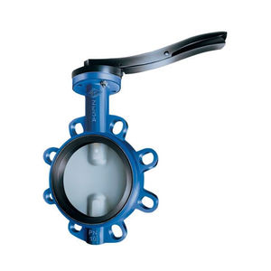 butterfly valve