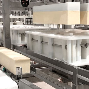 用于食品工业的抽吸系统