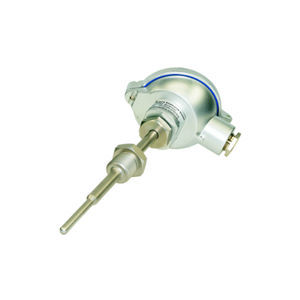 RTD temperature probe