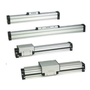 rodless cylinder